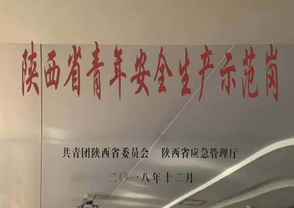 保利林语溪项目青年安全生产示范岗.png