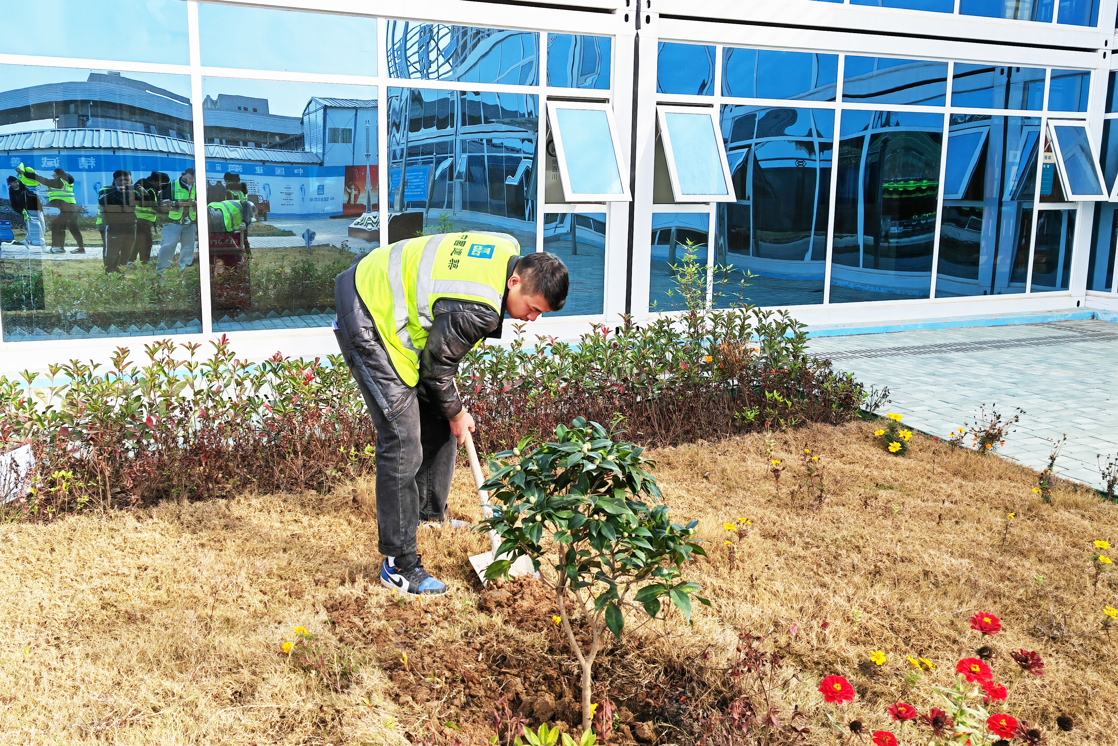 武汉分公司保利明玥晨光项目开展冬季植树活动